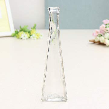 Young21 Farbe Klar Mini Glasvase Zakkz Blumenflasche Glas Ornamente Blumen Arrangieren Wohnkultur - Klar von Young21