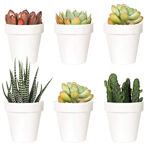 Youngever 10er Pack 8 cm Mini Kunststoff Pflanzgefäße, Indoor Blumentöpfe, Weißer Gartentopf mit Drainage - NO Pflanze enthalten (Klassisch) von Youngever