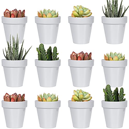 Youngever 24er Pack 5 cm Mini Kunststoff Pflanzgefäße, Indoor Blumentöpfe, Grauer Gartentopf mit Drainage - NO Pflanze enthalten (Klassisch) von Youngever