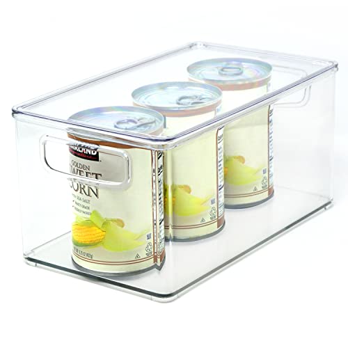 Youngever 2er Set 25 x 15 x 12 cm Kühlschrankbehälter, Speisekammer Organizer, Aufbewahrungsbox Kühlschrank, Behälter mit Deckeln von Youngever
