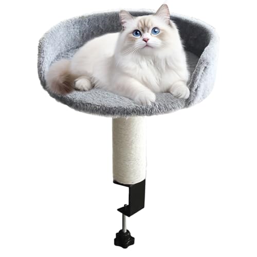 Youngwier Abnehmbares Katzenbett Für Den Schreibtisch - Schreibtischklemme Katzenbett | Kissenauflage Nest Gemütlich Für Wohnzimmer Schlafzimmer Wohnung Zuhause Indoor Haustier Kätzchen von Youngwier