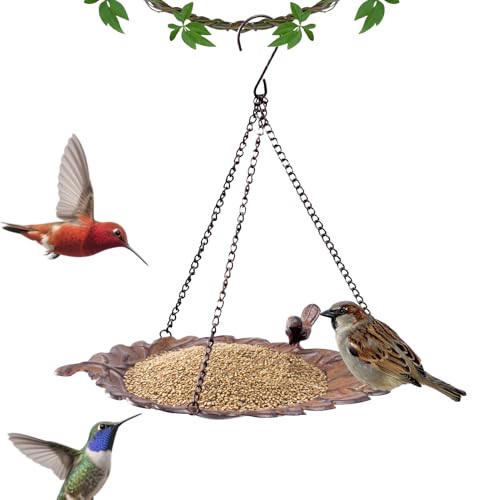 Youngwier Flacher Vogelfutterplatz | Wetterfeste Wildvogel Futterstation Für Draußen - Outdoor Wasserschale Mit Ketten Für Baum Garten Rasen Hinterhof Youngwier Flacher Vogelfutterplatz | Wetterfeste Wildvogel Futterstation Für Draußen - Outdoor Wasserschale Mit Ketten Für Baum Garten Rasen Hinterhof von Youngwier