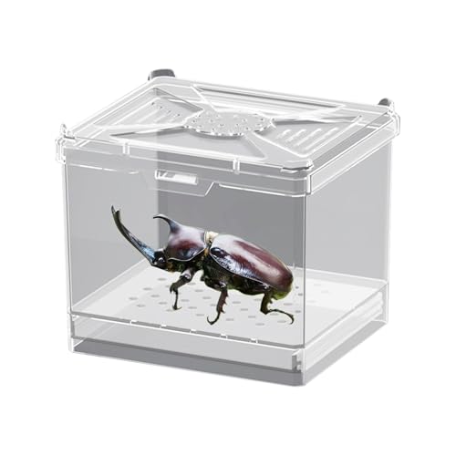 Youngwier Springspinnen Terrarium - Futterbox,Belüfteter Lebensraum Für Wissenschaftsprojekte Bildung Zuhause Wohnzimmer Reisen Camping von Youngwier