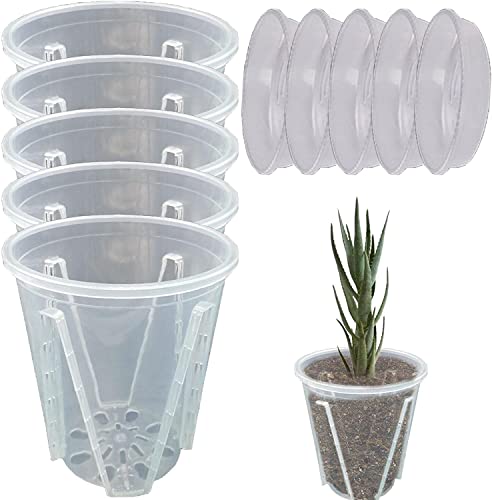 5 Stück Orchideentopf Transparent Orchideentöpfe Übertopf mit Untertassen Kunststoff Orchideentopf Pflanztöpfe für Orchideen Orchidee Blumentopf für Indoor Outdoor Balkon Schreibtisch (14cm+Tablett) von Youning