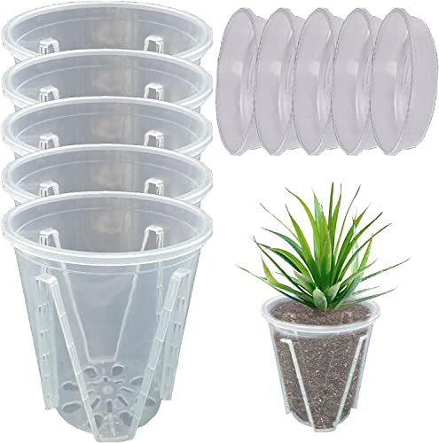 5 Stück Orchideentopf Transparent Orchideentöpfe Übertopf mit Untertassen Kunststoff Orchideentopf Pflanztöpfe für Orchideen Orchidee Blumentopf für Indoor Outdoor Balkon Schreibtisch (10cm+Tablett) von Youning