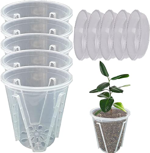 5 Stück Orchideentopf Transparent Orchideentöpfe Übertopf mit Untertassen Kunststoff Orchideentopf Pflanztöpfe für Orchideen Orchidee Blumentopf für Indoor Outdoor Balkon Schreibtisch (12cm+Tablett) von Youning