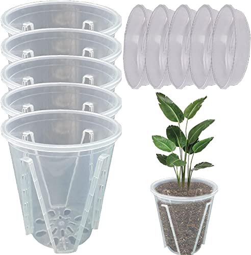 5 Stück Orchideentopf Transparent Orchideentöpfe Übertopf mit Untertassen Kunststoff Orchideentopf Pflanztöpfe für Orchideen Orchidee Blumentopf für Indoor Outdoor Balkon Schreibtisch (16cm+Tablett) von Youning