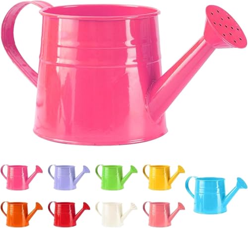 Gießkanne Klein Zimmerpflanzen 1L Kleine Gießkanne Metall Blumentopf Giesskanne Garten Balkon Watering Can Kieskanne Vintage Blumengießkanne Pflanzengießkanne Gartenwerkzeug (1PC/Hot Pink#) von Youning