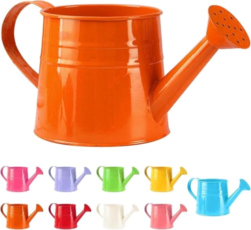 Gießkanne Klein Zimmerpflanzen 1L Kleine Gießkanne Metall Blumentopf Giesskanne Garten Balkon Watering Can Kieskanne Vintage Blumengießkanne Pflanzengießkanne Gartenwerkzeug (1PC/Orange) von Youning