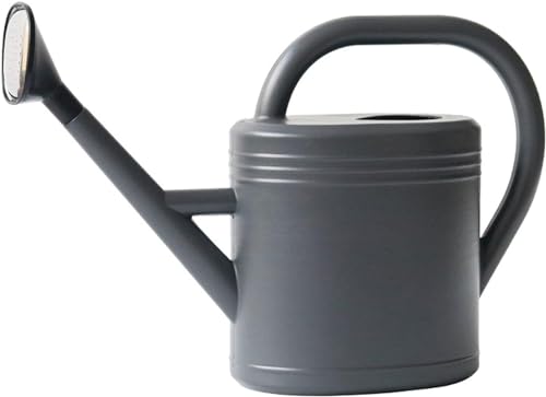 Gießkanne mit Gießbrause Blumengießkanne Gießkannen Klein Zimmerpflanzen Giesskanne Kunststoff Pflanzengießkanne Gartengießkanne Watering Can für Bewässerung Blumen, Pflanzen & Bäumen (Grau, 3L) von Youning