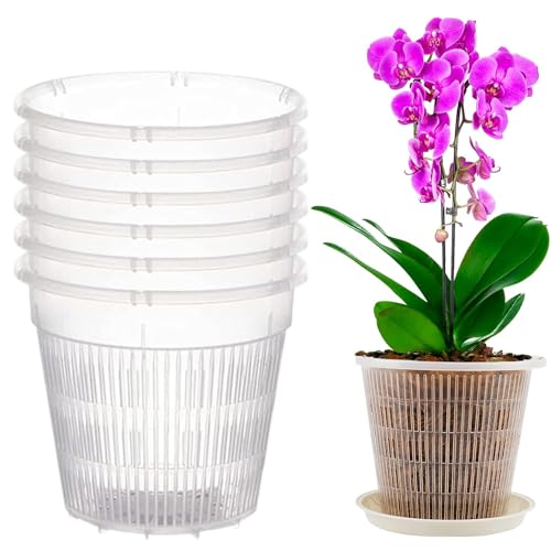 Orchideentöpfe Transparente Atmungsaktive Orchideentopf aus Kunststoff mit Löchern Orchideen Pflanztöpfe zum Umtopfen Blumentopf für Orchidee Sämlinge Sukkulenten Topfpflanzen 6 Stück (19cm&Tablett) von Youning