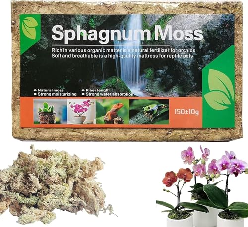 Sphagnum Moos für Bonsai Pflanzen Orchideen Terrarium, Orchideensubstrat Phalaenopsis Organischer Dünger, Blumenerde Zimmerpflanzen Feuchtigkeitsspendende Torfmoos, Wassermoos Trockenmoos (1PC) von Youning