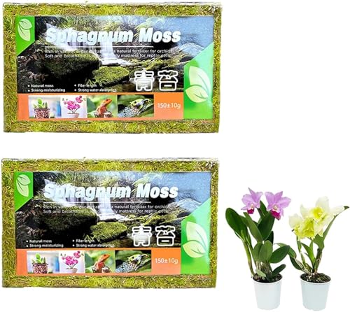 Youning Natürliches Sphagnum Moos Torfmoos für Garten Zimmerpflanzen Terrarien Blumenerde Wassermoos Trockenmoos Wasser Gras Substrat Spaghnummoss Kultursubstrat für Pflanzen Orchideen (2 Beutel) von Youning