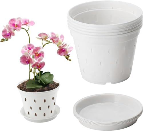 Youning Orchideentopf Transparent 6 Stück Kunststoff Orchideentöpfe Klare Orchidee Pflanztöpfe mit Drainageloch Atmungsaktiver Orchideen Blumentopf Übertöpfe für Pflanzen und Umtopfen (Weiß 14cm) von Youning