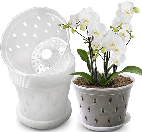 Youning Orchideentopf Transparent 6 Stück Kunststoff Orchideentöpfe Klare Orchidee Pflanztöpfe mit Drainageloch Atmungsaktiver Orchideen Blumentopf Übertöpfe für Pflanzen und Umtopfen (12.5cm+Tablett) von Youning