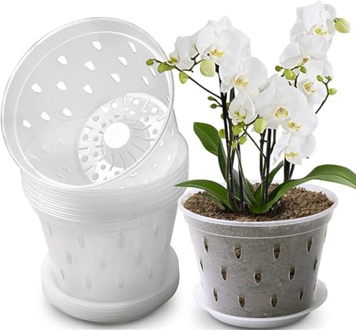 Youning Orchideentopf Transparent 6 Stück Kunststoff Orchideentöpfe Klare Orchidee Pflanztöpfe mit Drainageloch Atmungsaktiver Orchideen Blumentopf Übertöpfe für Pflanzen und Umtopfen (14cm+Tablett) von Youning