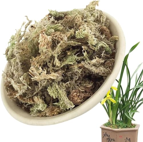 Youning Sphagnum Moos 6L/12L Natürliches Torfmoos Substrat Spagnummoos für Pflanzen, Bonsai, Orchideen Sphagnum Moos Substrat Get Trocknen Wassermoos Trockenmoos Wasser Gras Substrat (12L) von Youning