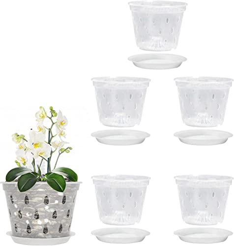 Youning Transparent Orchideentöpfe Blumentopf 5 Stück Klare Kunststoff Orchideentopf Orchidee Pflanztöpfe mit Löchern und Untertassen Orchideen Anzuchttöpfe Orchideentopf (12.5cm mit Tablett) von Youning
