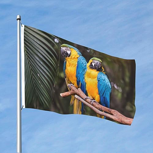 Papageien-Flagge, groß, 1,2 m x 1,8 m, mit Ösen, Doppelnaht, Banner, hochwertiger Bilddruck, farbecht, lebendige Farben, leichtes Design, doppelseitig, maßgeschneidert für Garten, Outdoor, Dekoration, von YoupO