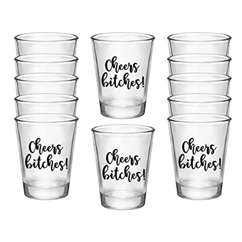 Cheers Bitches! Mädchen Schnapsglas, 50 ml, 12 Stück, perfekte Geburtstags-Schnapsgläser für Frauen, Bachelorette Party Schnapsgläser, Geburtstags-Schnapsglas, niedliche Schnapsgläser von Your Dream Party Shop