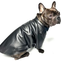 Benutzerdefinierte Eco-Leder Hundejacke | Personalisierte Passform Für Jeden Hund Hergestellt in Der Ukraine von YourDogsBusinessCo