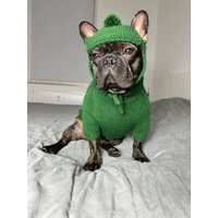 Gestrickte Hundemütze Mit Verstellbaren Krawatten | Kuschelige Wintermütze Für Hunde Custom Fit Warm Pet Accessoire von YourDogsBusinessCo