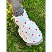 Hundekleid Für Mädchen - Stilvolles Sommerkleid Kleine Und Mittelgroße Hunde, Süßes Sommer-Hunde-Outfit, Leichtes Haustierkleid, Hundebekleidung von YourDogsBusinessCo