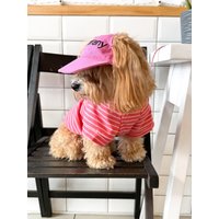 Personalisierte Hundesonnenkappe - Benutzerdefinierter Name Sommerhut Für Hunde, Stilvolle Strandkappe Kleine Und Große Rassen, Niedliches von YourDogsBusinessCo