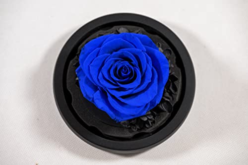 YourRoses® echte Premium Rose im Glas mit Einer wunderschönen Geschenkbox | Lange Haltbarkeit & edles Geschenk als Liebesbeweis | EIN Geschenk vom Herzen (Blau) von YourRoses - Ziegler&Ribant