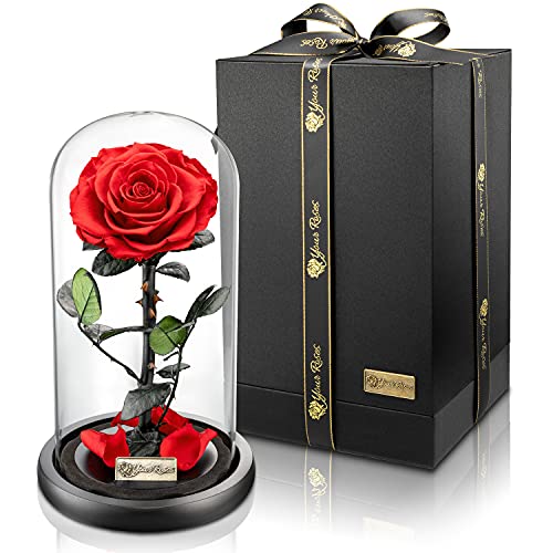 YourRoses® echte Premium Rose im Glas mit Einer wunderschönen Geschenkbox | Lange Haltbarkeit & edles Geschenk als Liebesbeweis | EIN Geschenk vom Herzen von YourRoses - Ziegler&Ribant