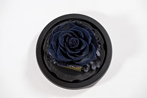 YourRoses® echte Premium Rose im Glas mit einer wunderschönen Geschenkbox | Lange Haltbarkeit & edles Geschenk als Liebesbeweis | ein Geschenk vom Herzen Schwarz von YourRoses - Ziegler&Ribant