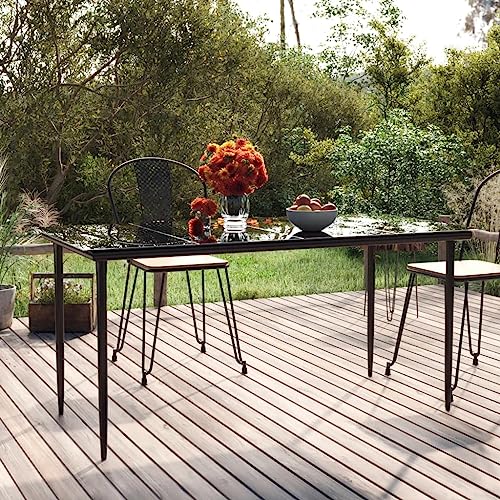 Youuihom Gartentisch Schwarz 160x80x74 cm Moderner Esstisch aus Stahl und gehärtetem Glas für Terrasse Garten und Balkon Robust & Wetterfest Youuihom Gartentisch Schwarz 160x80x74 cm Moderner Esstisch aus Stahl und gehärtetem Glas für Terrasse Garten und Balkon Robust & Wetterfest von Youuihom