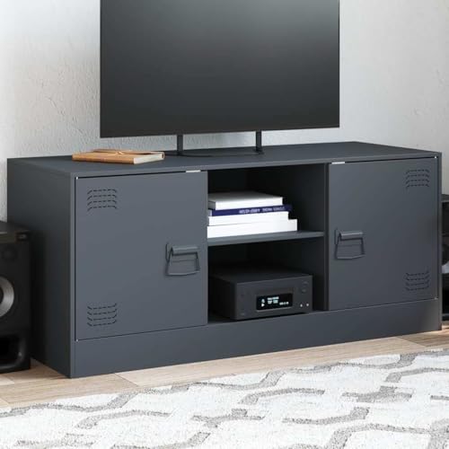 Youuihom TV Lowboard Anthrazit 99x39x44 cm aus kaltgewalztem Stahl Modernes Sideboard mit 2 Ablagen und Türen Robuste Fernsehkommode bis 90 kg belastbar für Wohnzimmer Büro Flur von Youuihom