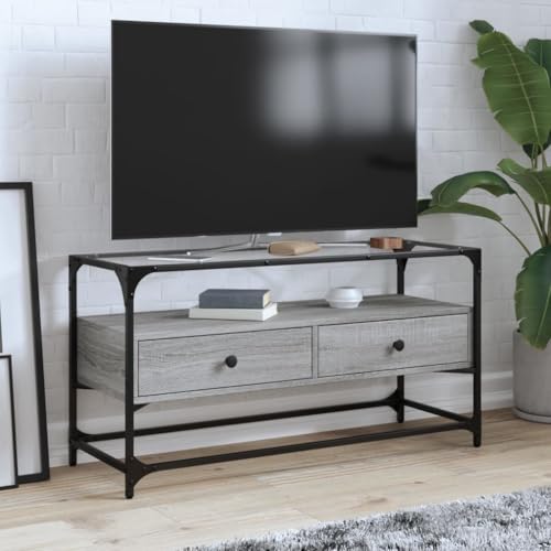 Youuihom TV Lowboard Grau Sonoma 98x35x51 cm mit Metallrahmen und Glasplatte Modernes Fernsehtisch Design Stauraumwunder für Wohnzimmer Schlafzimmer und Flur von Youuihom