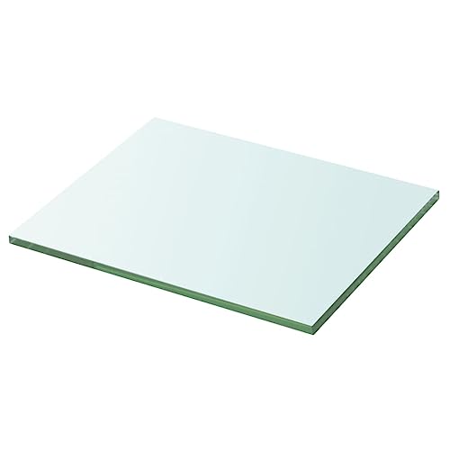 Youuihom Transparente Glasplatte Regalboden Wandregal 20x25 cm Hartglas 8 mm Tragfähigkeit 15 kg Modernes Dekoelement für Lamellenwand Wohnung Geschäft Badezimmer Küche von Youuihom