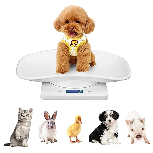 Youyijia Digitale Haustierwaage 295X185mm Mini Haustier Skala mit Bequem Gebogener Schale und LCD-Display 4 Gewichtungsmodi g ml oz lb.oz für Neugeborene Haustiere Präzisions Grammwaage Bis Zu 10 kg von Youyijia
