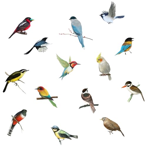 Fensteraufkleber Vögel auf Ast - Bunte Kolibri-Motive mit Anti-Kollisionsschutz | Glasdeko für Fenster Frühling/Sommer | Vogelschutz & Wohnraumgestaltung - Großformat von Yphzmtz