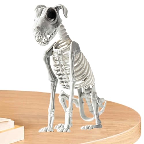 Yplkm Hundeskelett Halloween - Mit Beweglichen Gelenken Realistisches Skelett Welpe - Deko Für Zuhause Aktivitäten Partys Eingangsbereich 44X31Cm von Yplkm