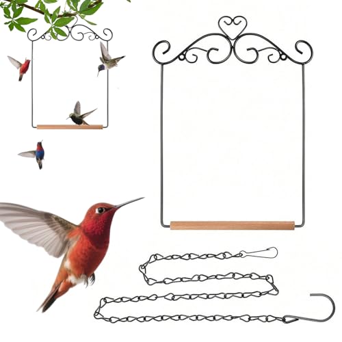 Yplkm Kolibri Schaukeln Und Sitzstangen | Aufhängbare Gartensitzstange,Spielzeug Schaukelständer Für Wellensittiche Nymphensittiche Innen Außen Käfig Terrasse Garten Yplkm Kolibri Schaukeln Und Sitzstangen | Aufhängbare Gartensitzstange,Spielzeug Schaukelständer Für Wellensittiche Nymphensittiche Innen Außen Käfig Terrasse Garten von Yplkm
