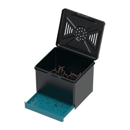 Yplkm Spinnen Terrarium - Futterbox,Belüfteter Lebensraum Für Wissenschaftsprojekte Bildung Zuhause Wohnzimmer Reisen Camping Yplkm Spinnen Terrarium - Futterbox,Belüfteter Lebensraum Für Wissenschaftsprojekte Bildung Zuhause Wohnzimmer Reisen Camping von Yplkm