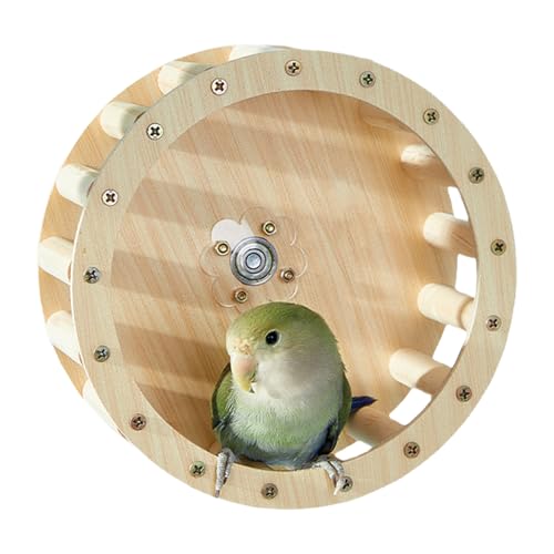 Yplkm Vogellaufrad Spielzeug | Hamster Rad Spielzeug - Holz Trainingsspiel Für Nymphensittiche Agaporniden Und Aras Yplkm Vogellaufrad Spielzeug | Hamster Rad Spielzeug - Holz Trainingsspiel Für Nymphensittiche Agaporniden Und Aras von Yplkm