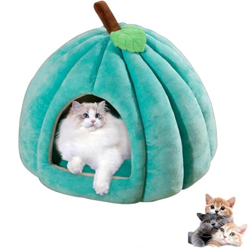 2025 Katzenhöhle in niedlicher Kürbisform, Halloween-Katzenhaus mit abnehmbarem Kissen, flauschiges, warmes Kürbis-Katzenhaus für Hauskatzen, Kätzchen und kleine Hunde (Blau, M) von Ysaca