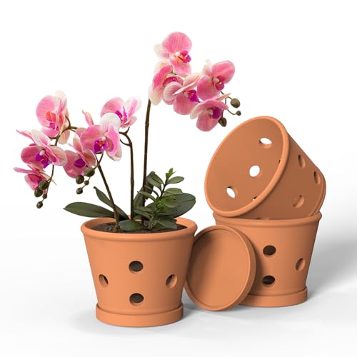 Orchideentöpfe aus Terrakotta, 15,2 cm, Orchideentopf mit Löchern und Untersetzern, 3 Stück, Ton-Orchideen-Pflanztöpfe zum Umtopfen, Terrakotta-Topf, großer Bulk-Blumentopf für drinnen und draußen, von Ysditrk