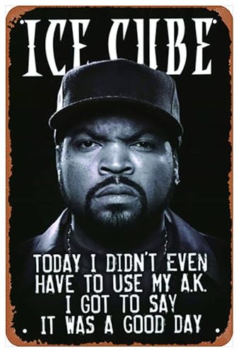 Ice Cube It Was A Good Day Lustige Kunst Metall Blechschild 20,3 x 30,5 cm Bar Pub Indoor Outdoor Wanddekoration Geschenke für Männer von Ysirseu