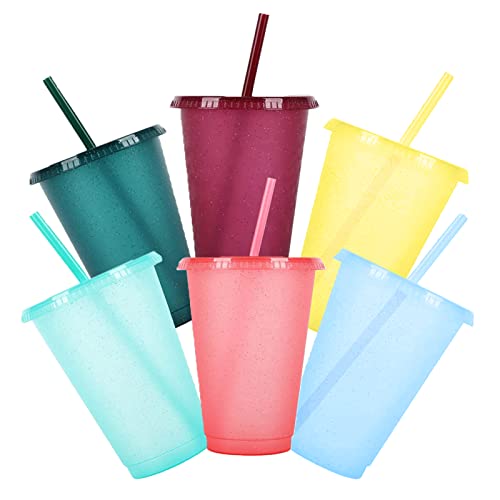 6 Pack Bunte Plastikbecher, 500ml Wiederverwendbare Plastikbecher mit Deckel und Strohhalmen, Becher Tasse Trinkbecher Party-Becher, Travel Mug Tumbler für Eiskaffee Kaltes Trinken Smoothie Saft von Yoaeyok