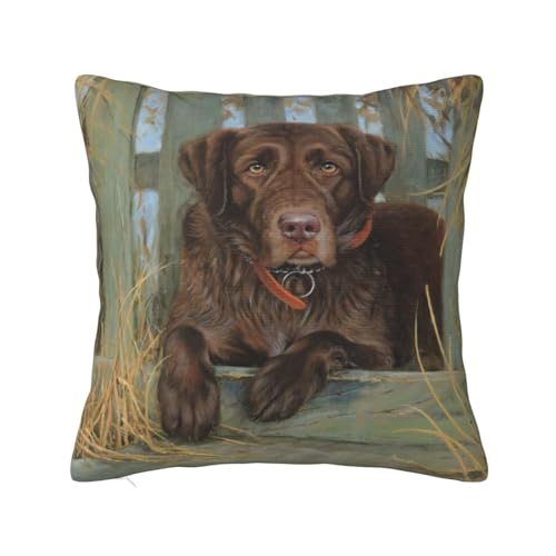 YsoLda Kissenbezug, dekorativer Überwurf-Kissenbezug, weiche Kissenbezüge 40 x 40 cm für Schlafzimmersofa, Labrador-Hund, Labrador-Schokolade von YsoLda