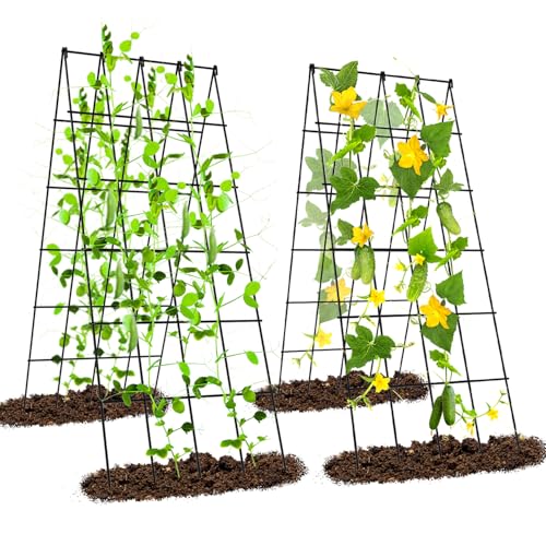 Ytaoeo Metall Gurke Rankgitter Tomaten Rankhilfe Garten 2 Stück, Spalier Gitternetz Kletterpflanzen Pflanzenstütze für Blumen & Nutzpflanzen, Einstellbare Breite, Schwarz von Ytaoeo