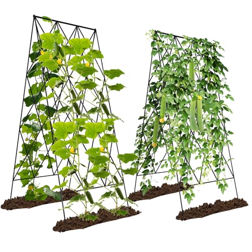 Ytaoeo Metall Gurke Rankgitter Tomaten Rankhilfe Garten 2 Stück, Spalier Gitternetz Kletterpflanzen Pflanzenstütze für Blumen & Nutzpflanzen, Einstellbare Breite, Schwarz von Ytaoeo