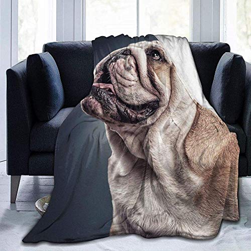 YuLiZP Decke Wohn Kuscheldecken Englische Bulldogge Flauschige Decke Ganzjährig Leicht Und Weich Bequeme Wohnkultur Decke Bett Sofa Stuhl Geeignet Für Erwachsene Und Kinder-80X60 Inch von YuLiZP