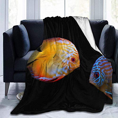 YuLiZP Decke Wohn Kuscheldecken Fisch Diskus Dunkle Streifen Fleece Bettdecken Warme Flauschige Reversible Mikrofaser-Massivdecken Für Bett Und Couch 80X60 Inches von YuLiZP